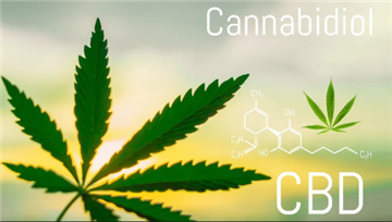 Študija ugotavlja, da se je uživanje konoplje med otroki v ZDA od leta 2000 p...